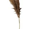 Pampasgras In Grau - (H)90 Cm -Heimdekoration Verkäufe deco lorrie pampasgras in grau h 90 cm