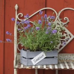 3er Set Blumenkasten Schatzkiste In Grau -Heimdekoration Verkäufe unus 3er set blumenkasten schatzkiste in grau 5