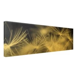 Leinwandbild Gold - Bewegte Pusteblumen Nahaufnahme Auf Schwarz In Schwarz-Weiß -Heimdekoration Verkäufe wallart leinwandbild gold bewegte pusteblumen nahaufnahme auf schwarz in schwarz weiss 5