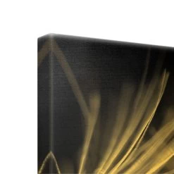 Leinwandbild Gold - Bewegte Pusteblumen Nahaufnahme Auf Schwarz In Schwarz-Weiß -Heimdekoration Verkäufe wallart leinwandbild gold bewegte pusteblumen nahaufnahme auf schwarz in schwarz weiss 6